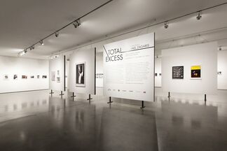 TOTAL EXCESS, installation view