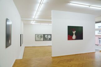 Most Beautiful, installation view