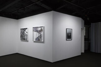The New Nature, installation view