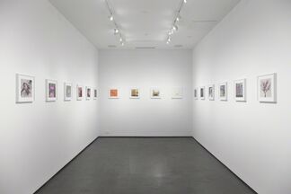 The Family Acid and Hiroshi Watanabe, installation view