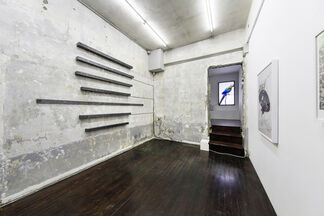 Nature of Me, installation view
