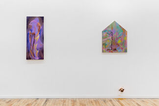 Ozone Gleaners, installation view