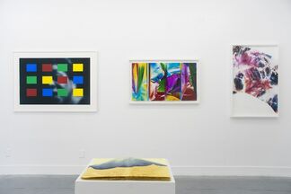 Women in Colour, installation view