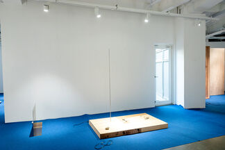 Acute and Highly Active, installation view