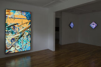 Tabor Robak - "Sunflower Seed", installation view