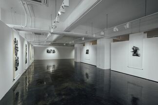 The Serene Path, installation view