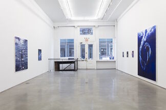 Sam McKinniss - "Egyptian Violet", installation view