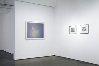 Out of Obscurity, installation view