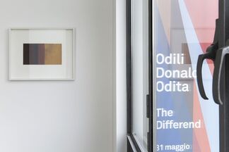 ODILI DONALD ODITA. The Differend, installation view
