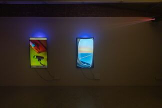 Signe Pierce 'Digital Streams of an Uploadable Consciousness : Stories 2016-2019', installation view