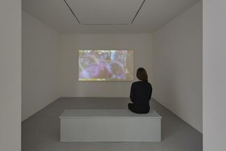 A.K. Burns - Any Means, installation view