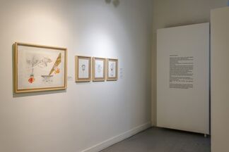 A Season in Hell, installation view