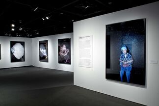 In the Wake: Japanese Photographers Respond to 3/11, installation view