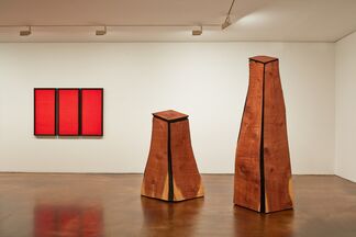 David Nash, installation view