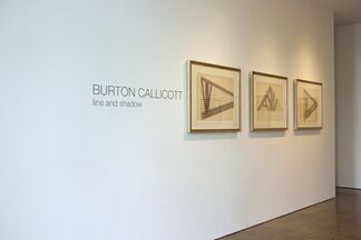 BURTON CALLICOTT, installation view