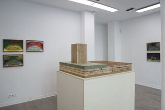 Diego Salvador Rios, installation view