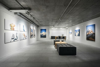 Lukas R. Vogel & Ingo Rasp: Places, Paths, and Pauses, installation view
