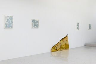 A Strong Affinity, installation view