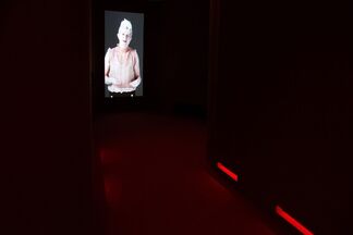 Carlos Motta. Requiem, installation view