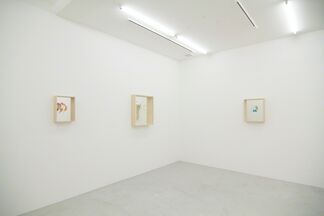 Makoto Taniguchi, Untitled, installation view