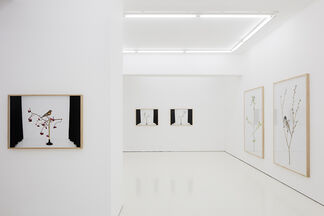 Persons Projects at CHART 2021: Pre-programme, installation view