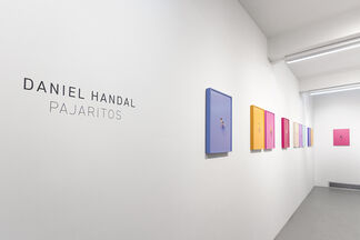 Daniel Handal | Pajaritos, installation view