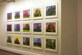 Graham Nickson: Cumulus, Monumental Trees and Transient Skies, installation view