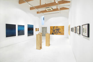 Sand to Stardust (Cosmos), installation view