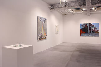 Gallery Collection, installation view