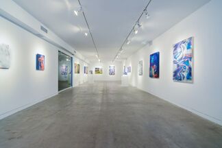 EMULATOR (Gallery 151), installation view