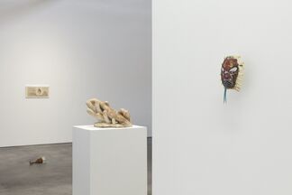 Materia Medica, Curated by Kelly Akashi, installation view