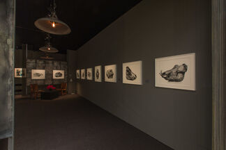 Hamiltons Gallery at TEFAF Maastricht 2013, installation view