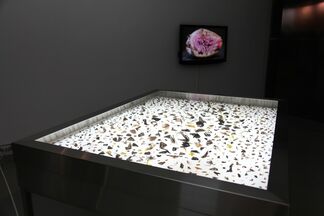 「Lightness Of The Soul」－Ding-Yeh Wang ’s solo exhibition, installation view