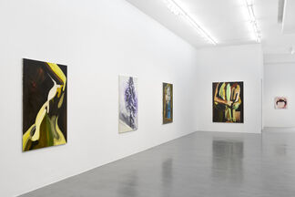 Clare Woods: Doublethink, installation view