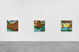 Up Close and Personal, installation view