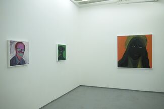 Hedley Roberts, installation view