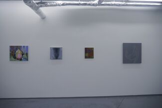 "2 Years of Looking", installation view