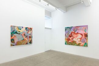 Mother Tongue, installation view
