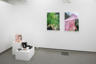 Today's Special #7, installation view