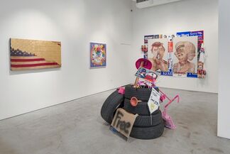 Why I Want to Fuck Donald Trump, installation view
