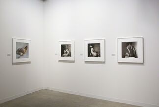 Pace/MacGill Gallery at Art Basel in Miami Beach 2016, installation view