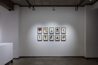 Marcos Bontempo: Light and Dark, installation view
