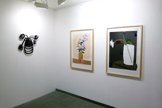 Lines, surfaces, shapes and colors, installation view