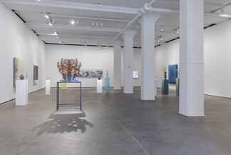 Abstract by Nature, installation view