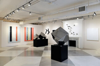 DYNAMICS/CONFLUENCE, installation view