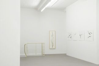 herman de vries "everything is all ways significant for all", installation view