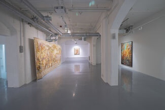 Microscripts and Melted Matters, installation view