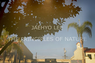 Jaehyo Lee: The Principles of Nature, installation view