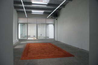 Rena Detrixhe: Place Out of Matter, installation view