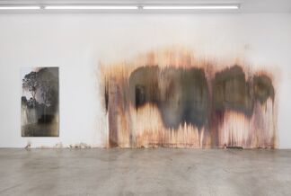 Matthew Brandt: AgX.Hb, installation view